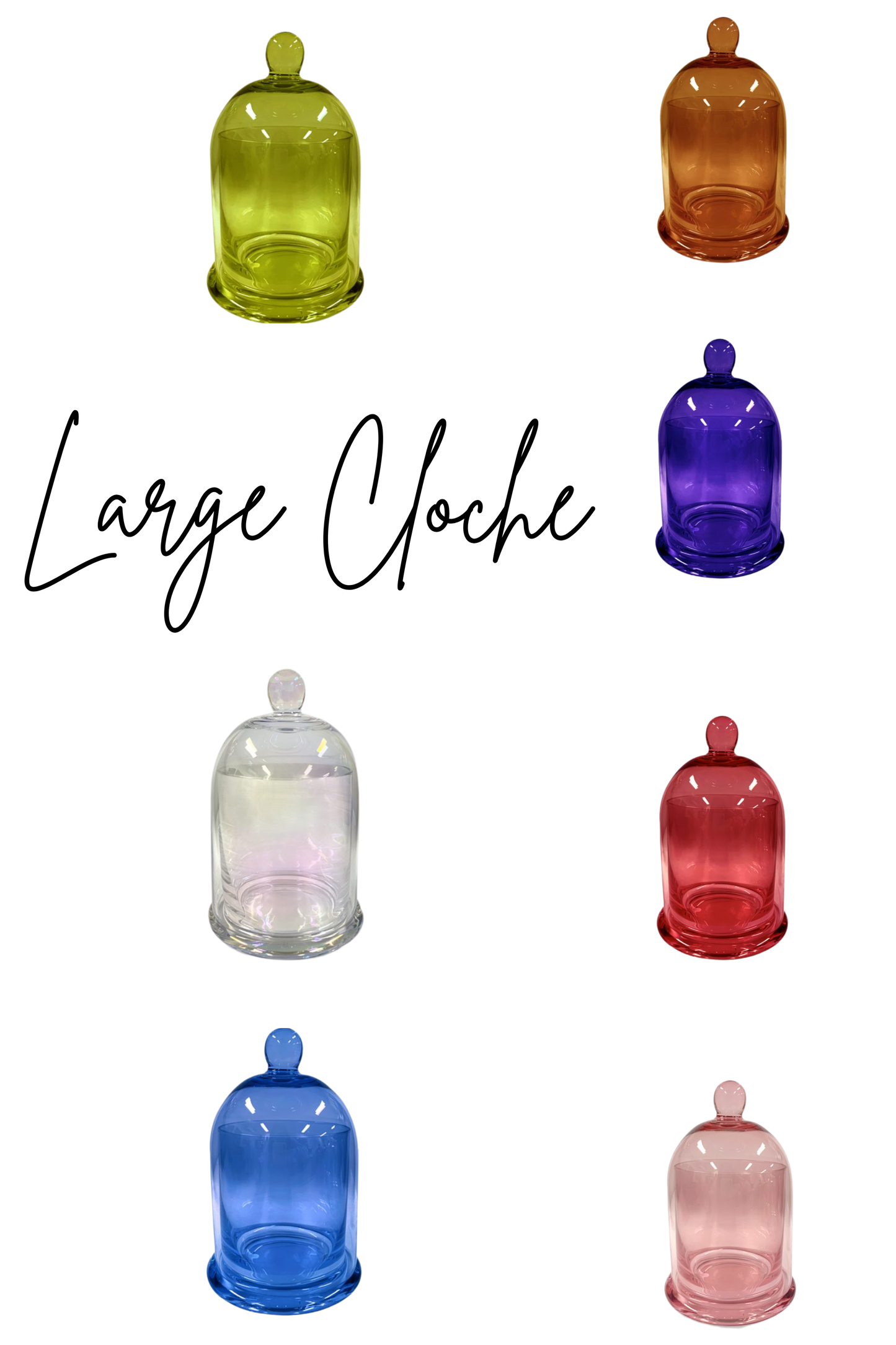370g Large Cloche